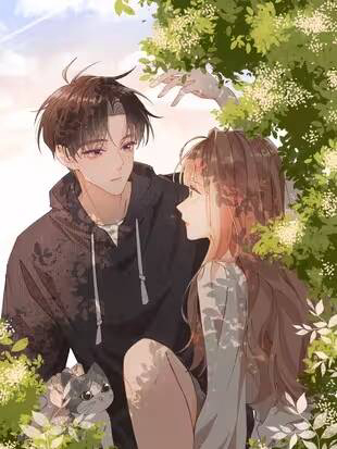 Bìa truyện Chị Gái Lại Toang Nữa Rồi