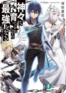 Bìa truyện Kamigami ni Sodaterare Shimo no, Saikyou to Naru