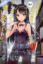 Bìa truyện Seishun Buta Yarou wa Bunny Girl Senpai no Yume o Minai