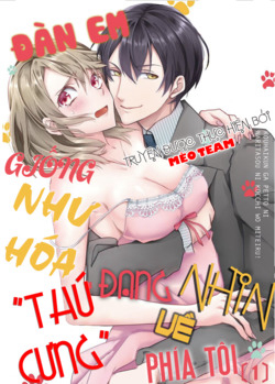 Bìa truyện Kouhaikun petto ni naritasou ni kocchi miteru