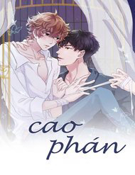 Bìa truyện Cao Phán