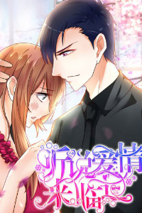 Bìa truyện Dường như tình yêu đã đến