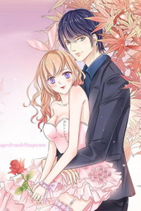 Bìa truyện Tiểu Thời Quang Của Toronto