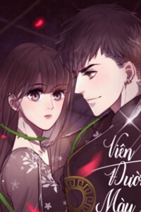 Bìa truyện Viên Đường Màu Đen