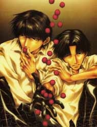 Bìa truyện Wild Adapter