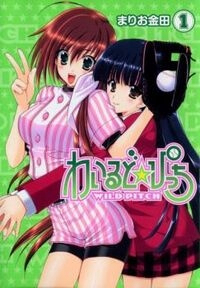 Bìa truyện Wild Pitch