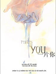 Bìa truyện Pieces of You