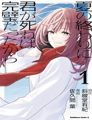 Bìa truyện Sẽ Thật Hoàn Hảo Nếu Chị Ra Đi Vào Lúc Hạ Tàn