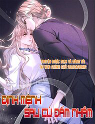 Bìa truyện Định Mệnh Sau Cú Đấm Nhầm