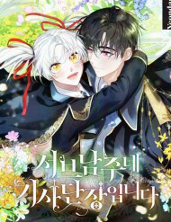 Bìa truyện Đoàn Trưởng Kỵ Sĩ Của Nam Phụ